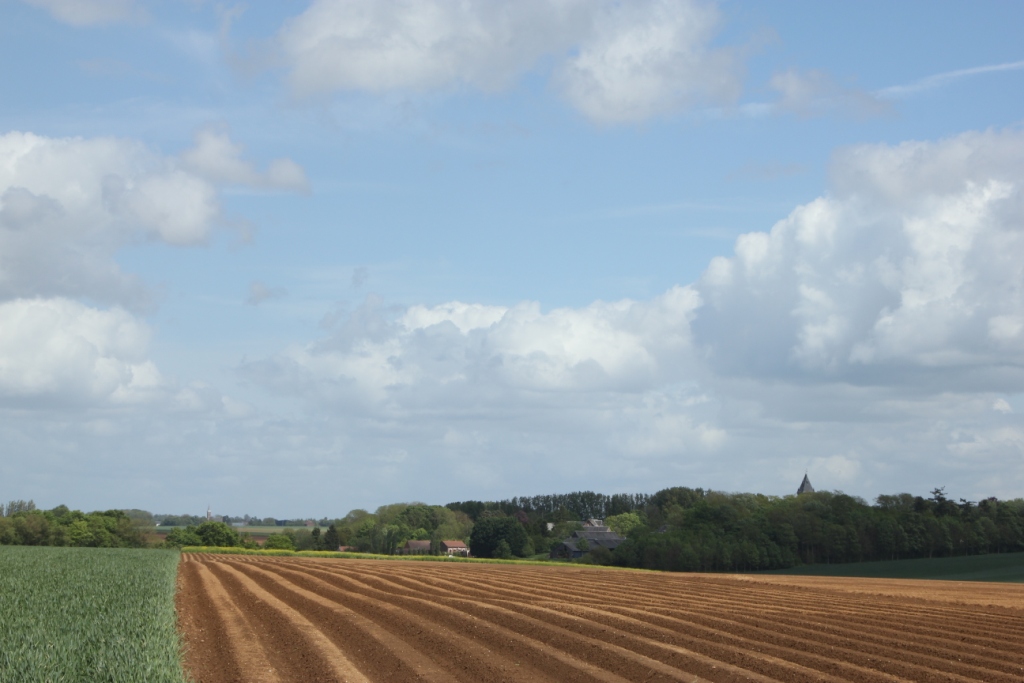 La Plaine de Croix Moligneaux